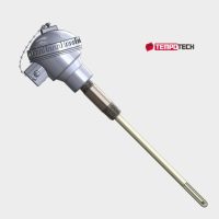 TC 200 with CPT with Metal support tube w process conn 1 Noble Metal Thermocouple with Protection tube double
